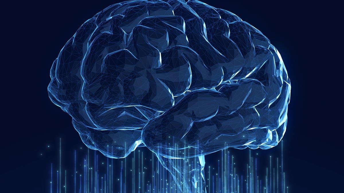 AI and the brain: similar in scale, different in design