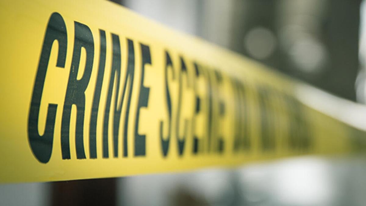 Police arrest three for double murder at wedding venue in Tirupati district