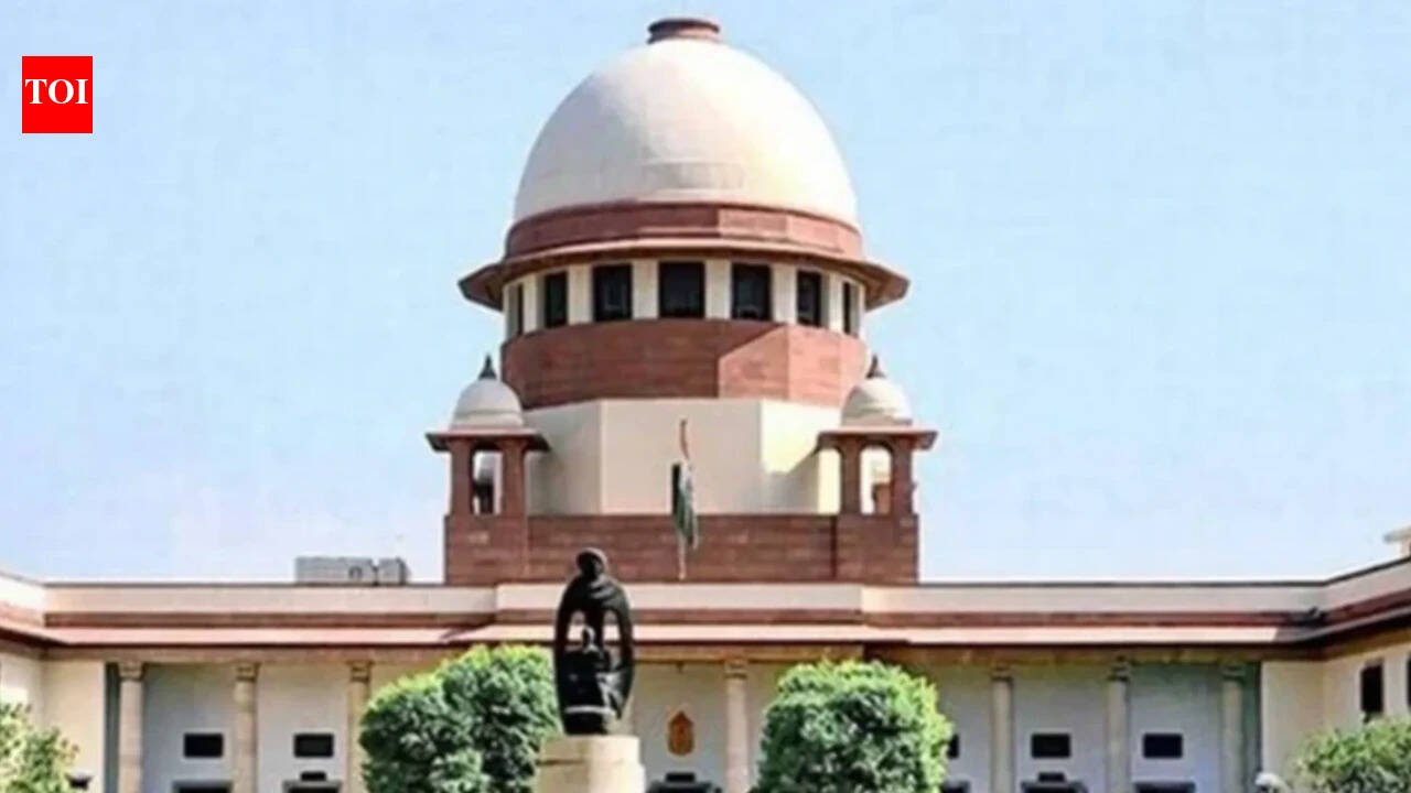Can't exclude SC/ST creamy layer from quotas: Government to Supreme Court