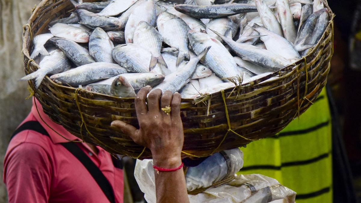 India’s plan to begin natural-capital and climate-risk accounting of its blue economy | Explained