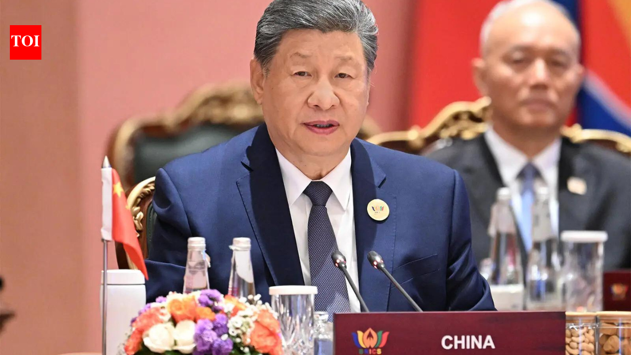 Xi suffered stroke & fainted at Brics Summit, claims China Democracy Party chief; post gets community note