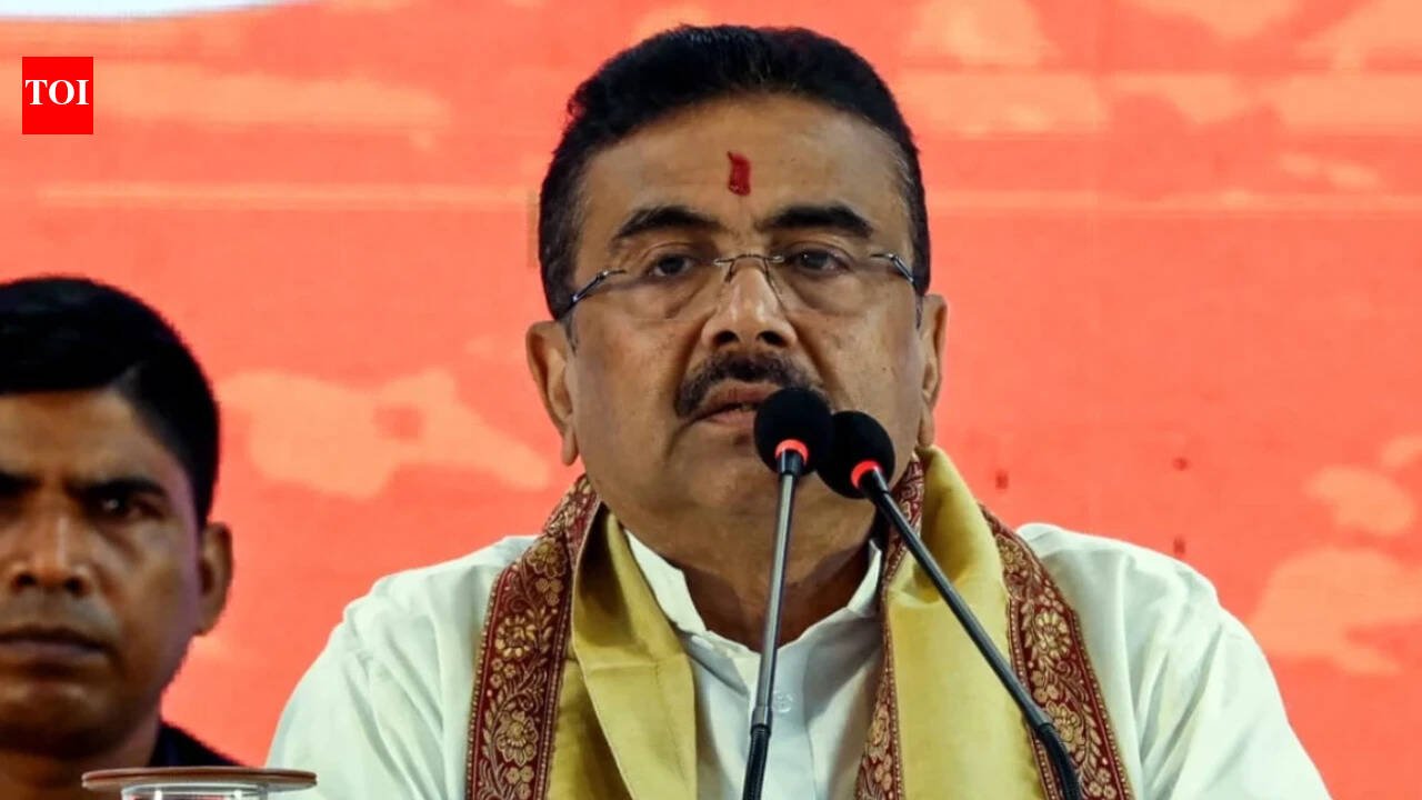 West Bengal government bans liquor sales on Maha Ashtami, DJ music during Durga Puja