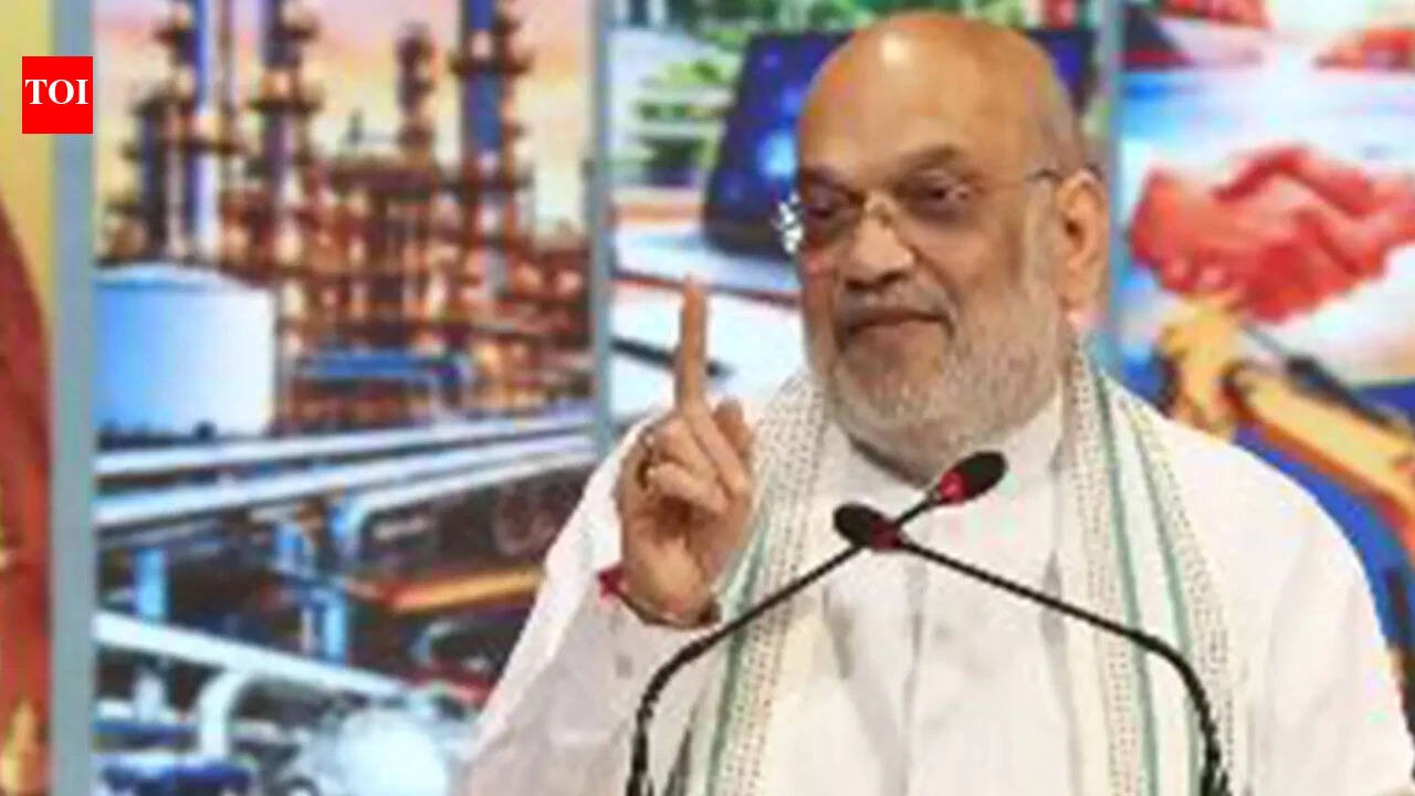 'Mafia ruled UP, Yogi govt eliminated it': Amit Shah highlights political stability, policy implementation under BJP govt