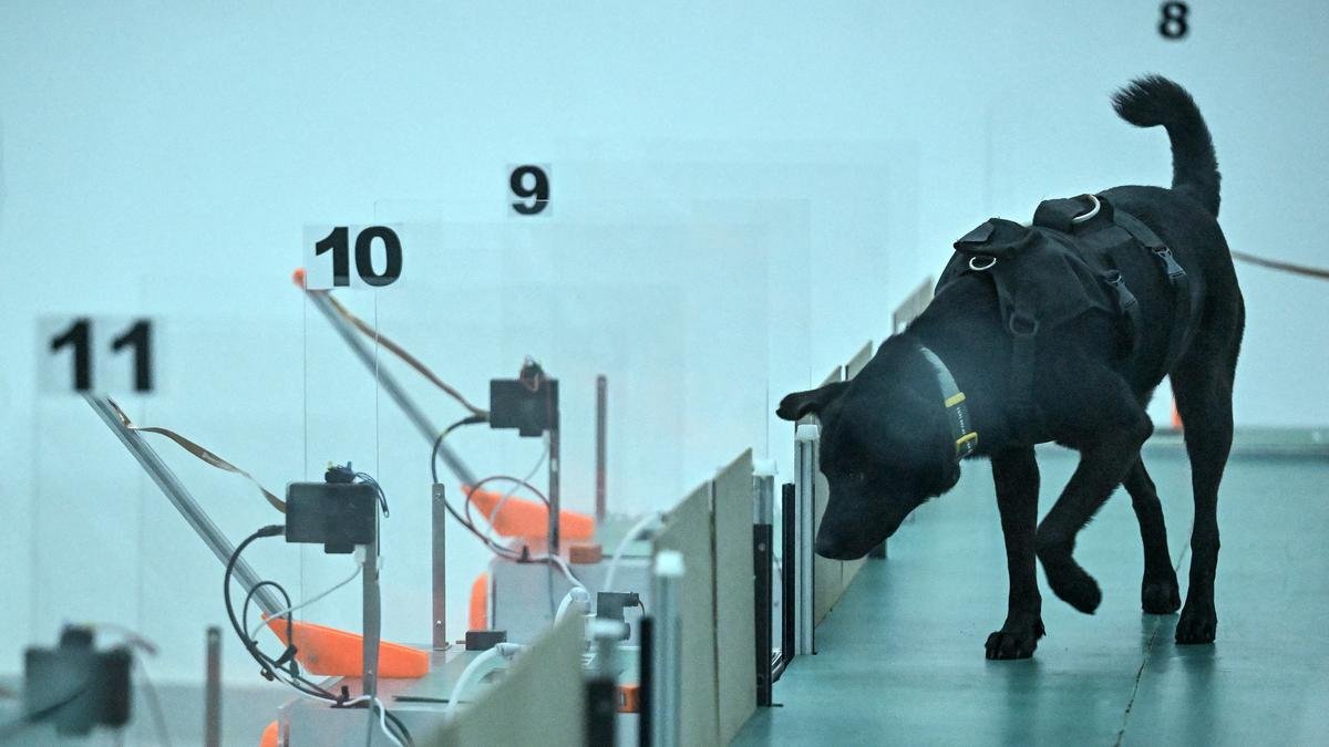Can dogs sniff cancer? AI joins the hunt in India