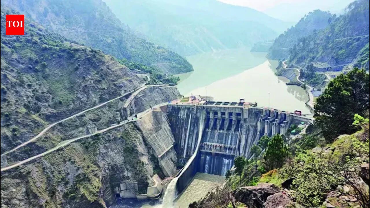 'No jurisdiction': India rejects 'illegal' Court of Arbitration's Indus Waters Treaty award