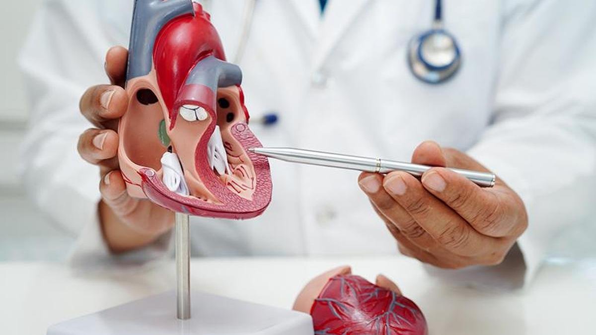 TAVI has ushered in a new age in treating aortic valve diseases: how it works and who it is for