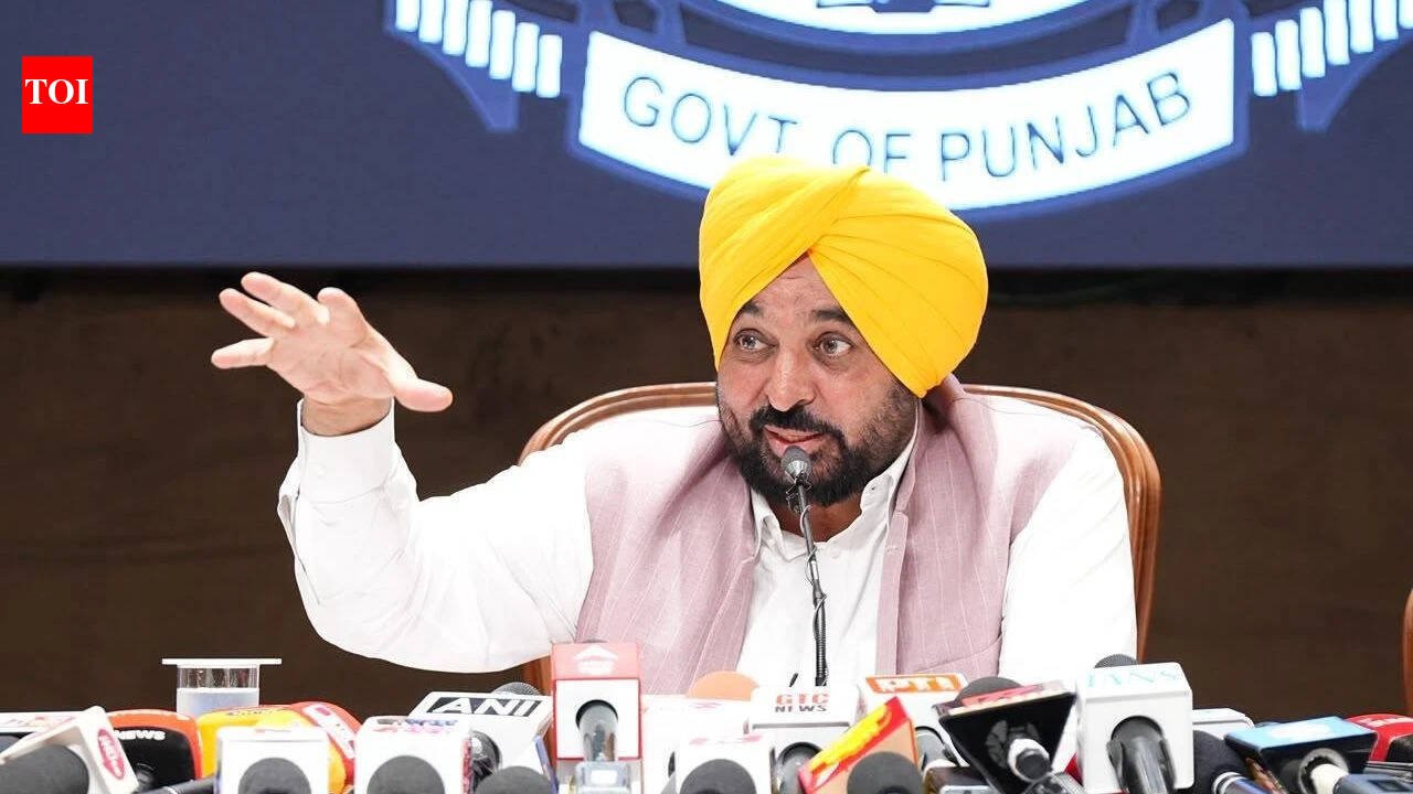 Punjab CM Bhagwant Mann’s big push to make state drug-free
