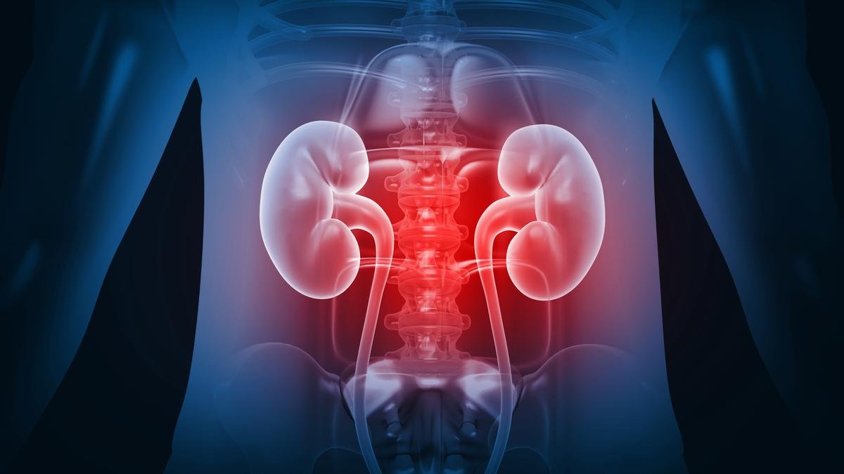 Regulator warns against indiscriminate use of painkillers and antibiotics, cites kidney disease risk