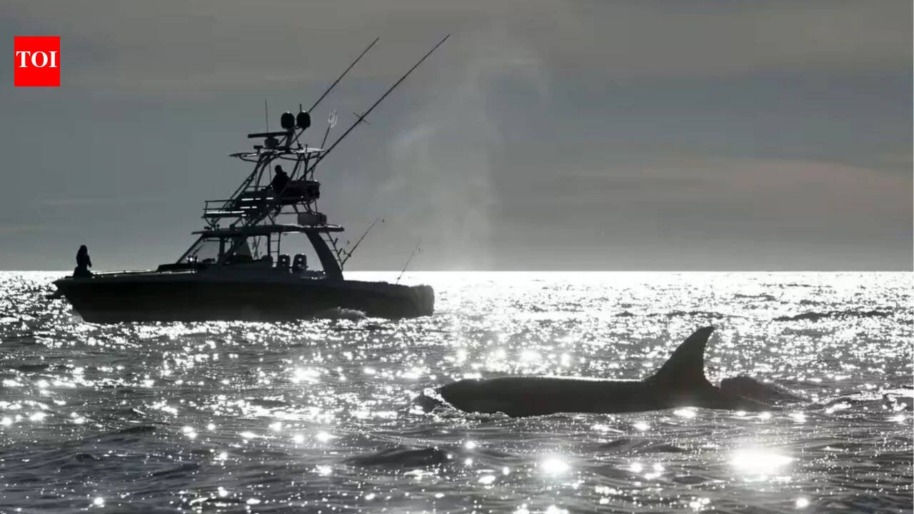 Marine experts call for satellite-based decision support system for sustainabler fisheries amid climate crisis