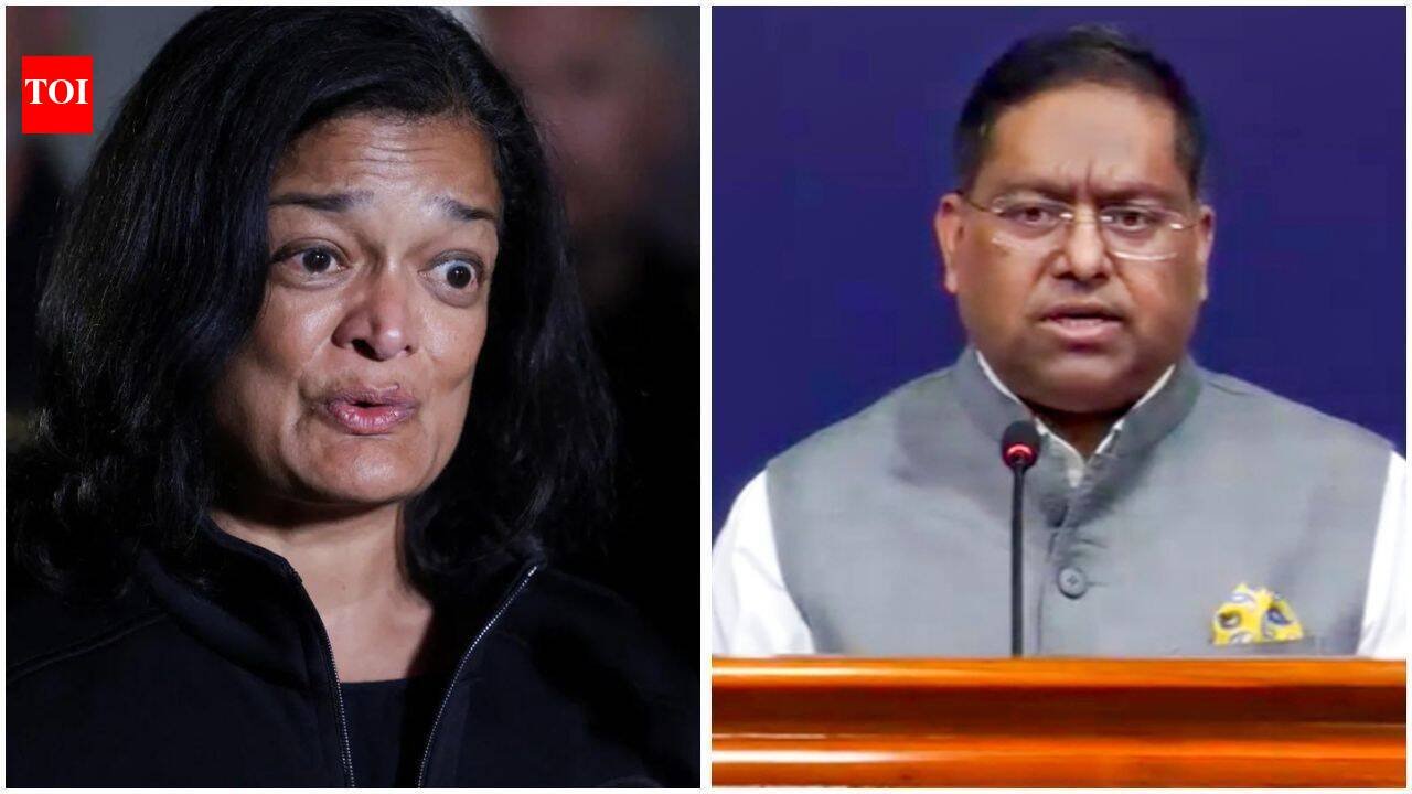 'Interfering in electoral practices': India pulls up US lawmaker for claims on voter roll deletions