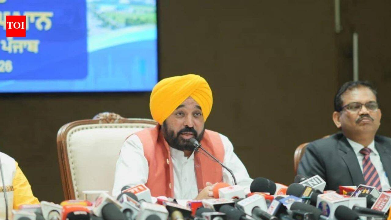 'BJP's poll campaign has begun': Mann on CBI raids on OSD, 5 others
