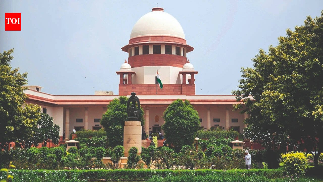Supreme Court’s enquiry committee launches complaint portal over violence during July protests