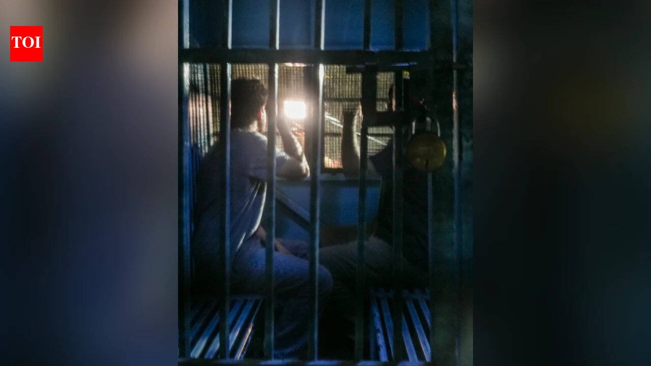 Delhi court orders release of CJP leaders Saurav Das, Ashutosh Ranka